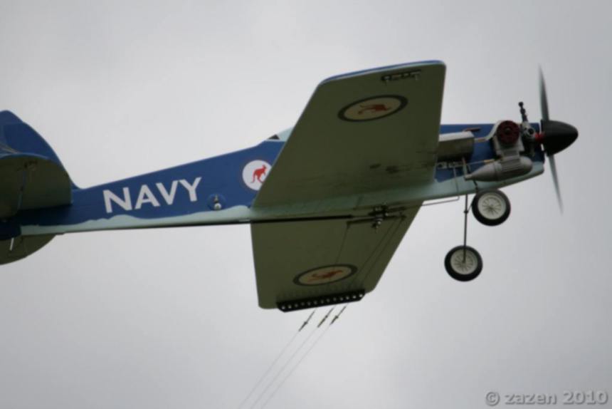 Sea Fang Carrier From Germany,