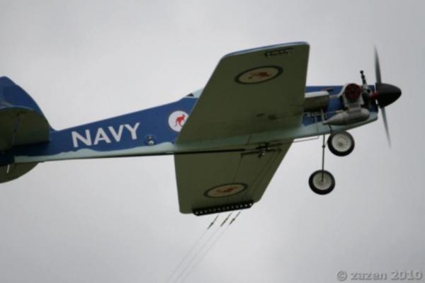 Sea Fang Carrier From Germany,