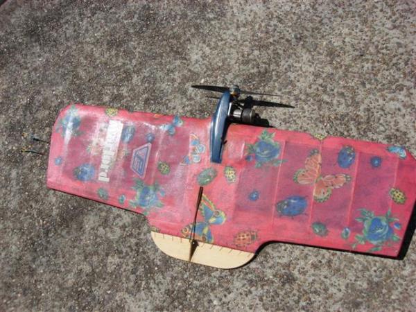 Pegasus Warlord Paw 19